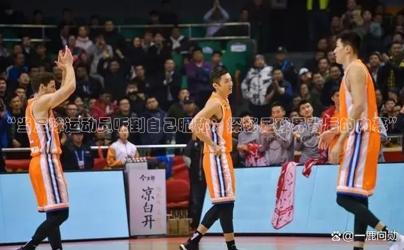意昂2开户小度商城