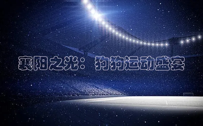 意昂体育招商